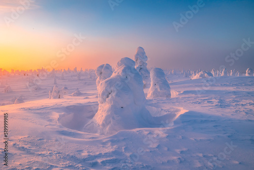 Riisitunturi National Park at sunset in winter photo