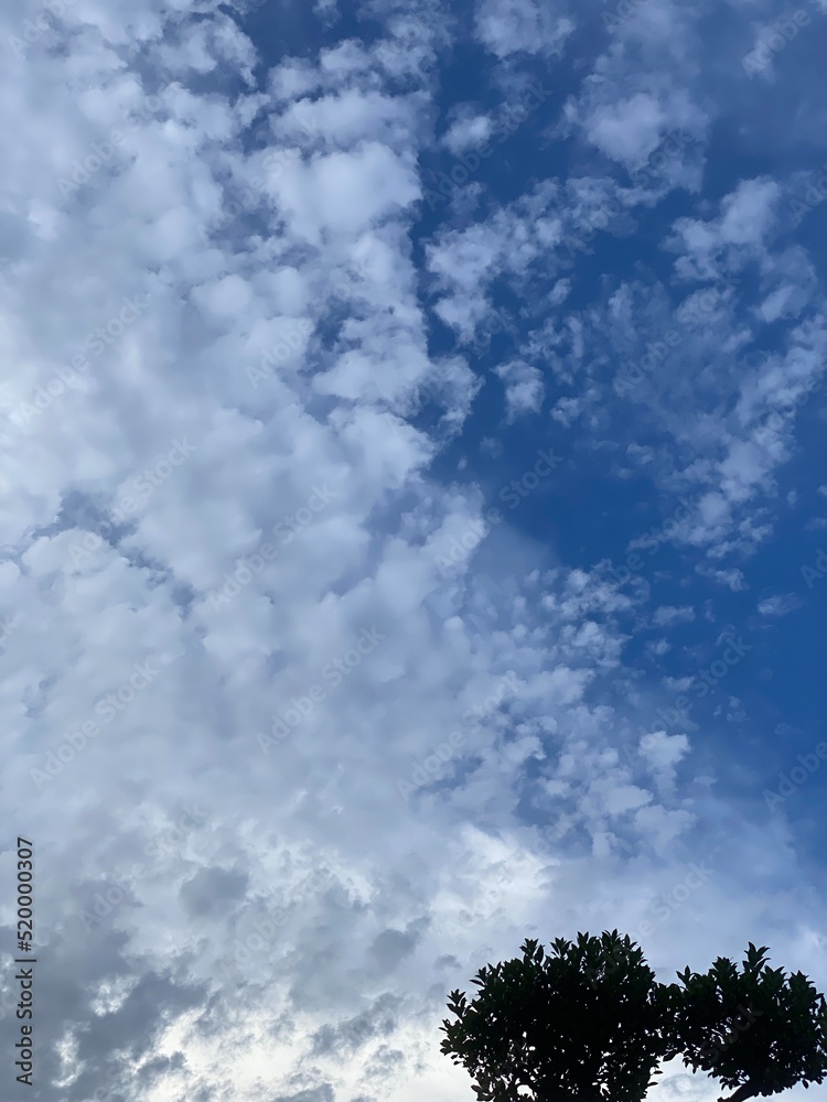 Japanese bonsai tree with the beautiful sky with clouds, year 2022 July 28th, Tokyo Japan
Japanese bonsai tree with the beautiful sky with clouds, year 2022 July 28th, Tokyo Japan