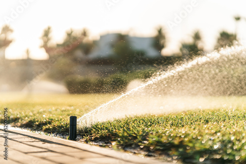 aspersor en jardín publico echando agua  al atardecer