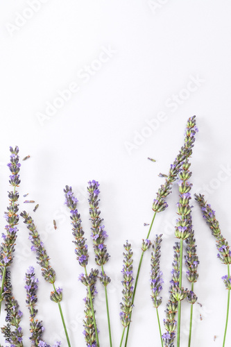 Lavender flowers on white background flat lay top view. Bouquet of lavender minimal concept. Beautiful purple flowers, fragrant ornamental plant. Floral composition, mock up