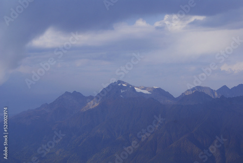 Coniferous forest and mountains, wildlife, landscape. 