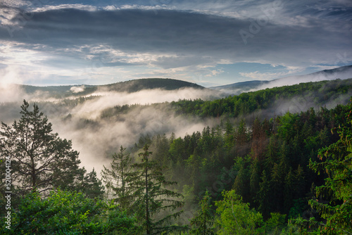 Morning mists over the Karkonosze Mountains. Poland