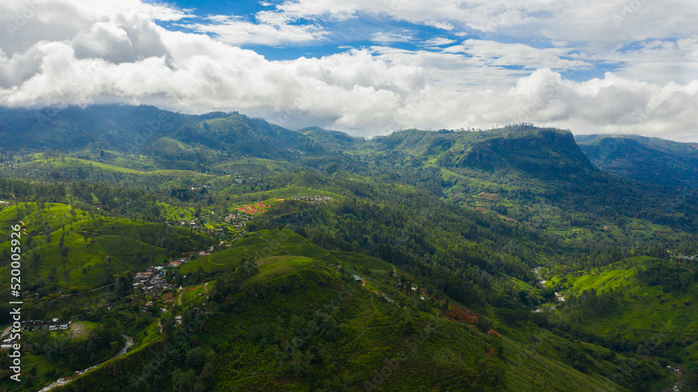 Aerial drone of Mountain landscape with tea estate. Tea plantations in Sri Lanka.