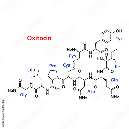 Structural formula of the hormone oxytocin photo