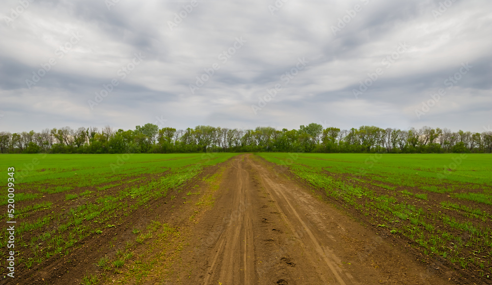 ground road among green fields, countryside agricultural background