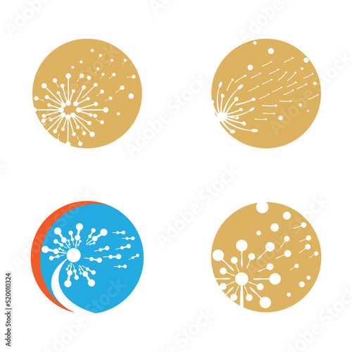 Dandelion flower logo vector template design