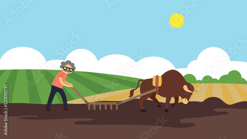 a man plows a field with an ox
