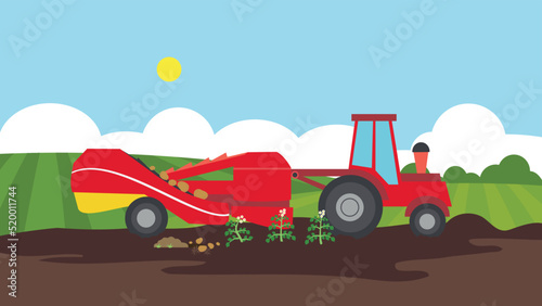 Tractor planting potatoes in the field
