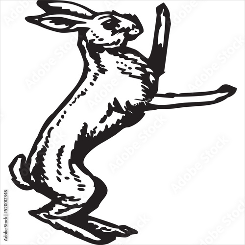 Vector, Image of rabbit icon, color black and white, with transparent background