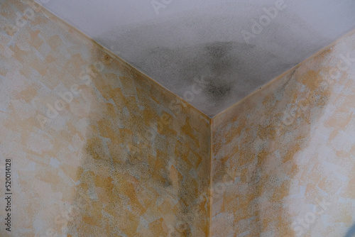 Foto corner of room, dilapidated walls and wet ceiling, gray mold on plaster, concept