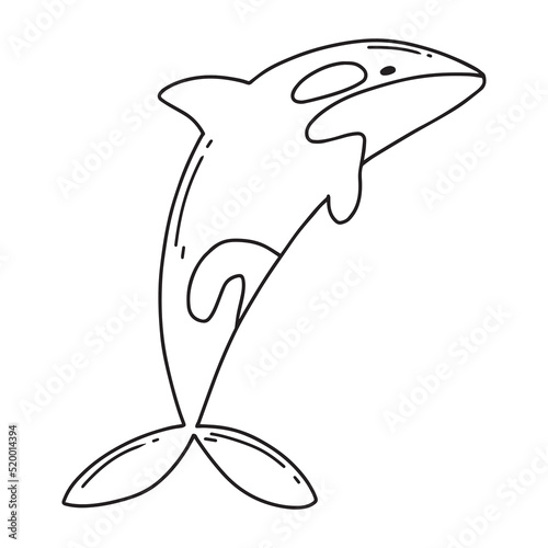 Childrens illustration of cute killer whale. Hand-drawn killer whale. Cute whale. Vector illustration. Doodle style.