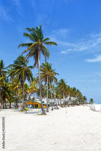 Playa Spratt Bight beach travel with palms portrait format vacation sea on island San Andres in Colombia