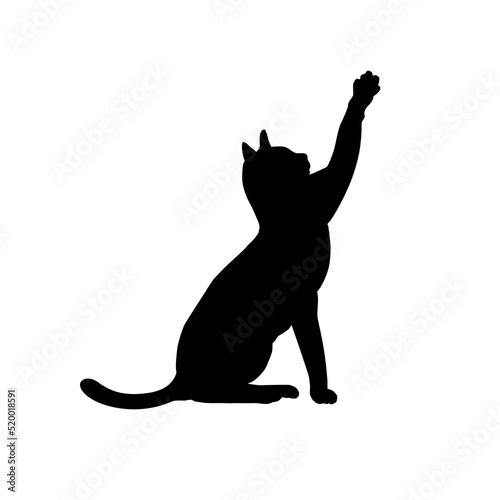 Sticker Cat isolated on white background