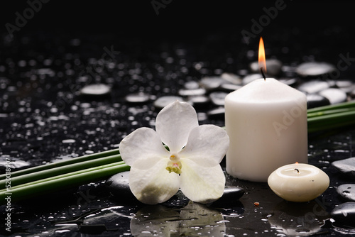 Still life of with  white orchid and long green stem with candle  zen black stones on wet background 