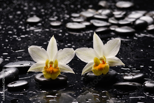 alternative, aromatherapy, bamboo, beauty, black, , care, closeup, detail, dew, drop, exotic, flower, gorgeous, health, leaf, life, luxury, natural, nature, palm, pebble, petal, , recreation, reflec