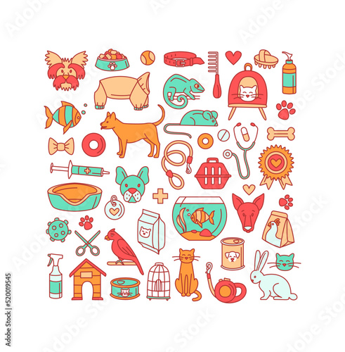 Pet store dogs, cats, birds, other domestic animals square pattern
