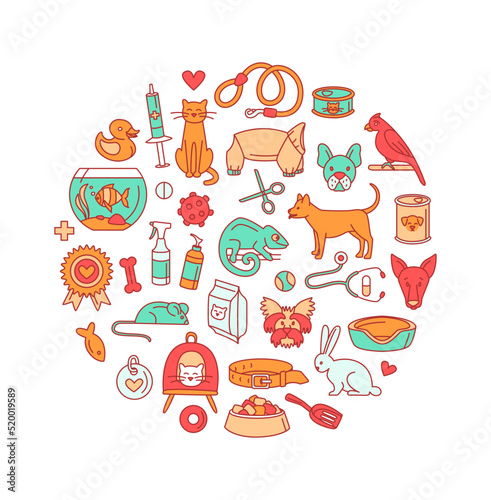 Pet store dogs, cats, birds, other domestic animals square pattern