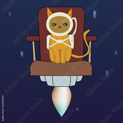cat in space
