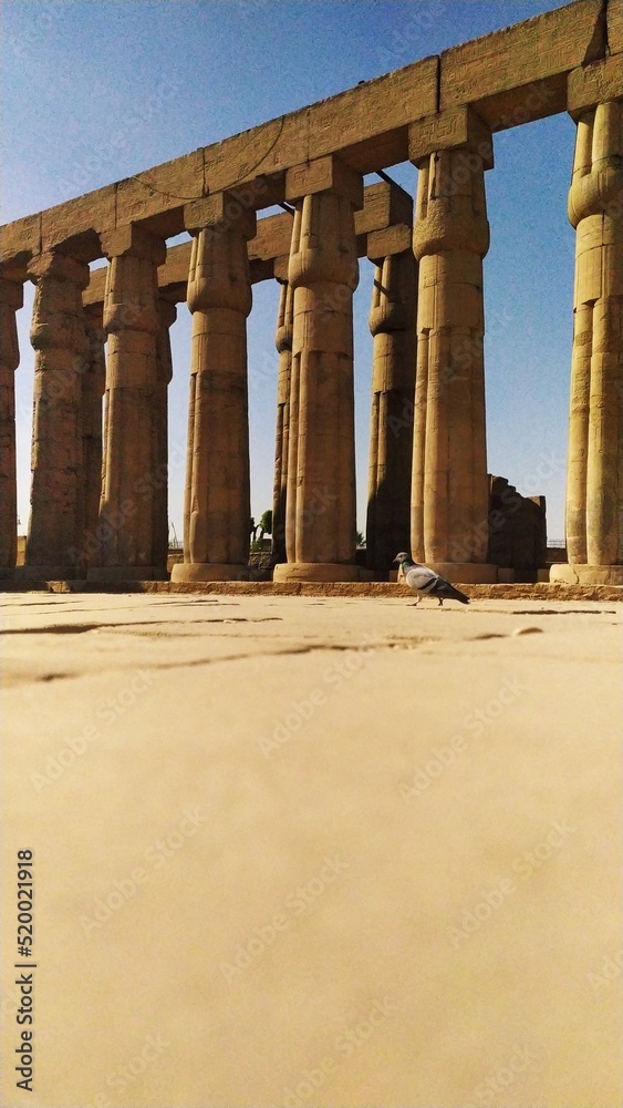 Fototapeta premium Temple of Luxor