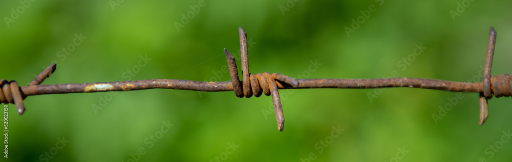 Banner of old rusty barbed wire on a blurred background of nature. Barbed Wire Bokeh. Banner of old rusty barbed wire on a blurred background of nature. Barbed Wire Bokeh.