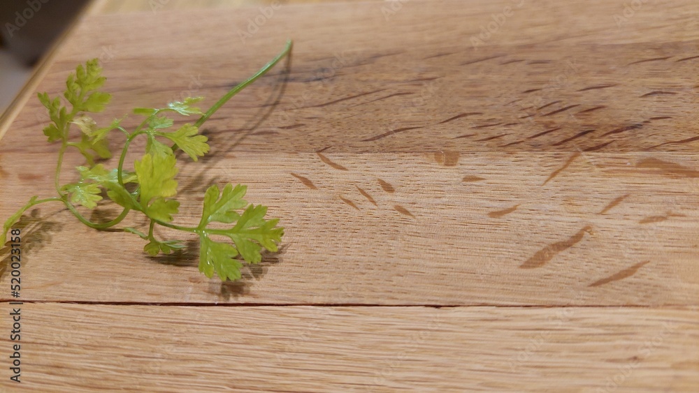 coriander on the wooden table design for healthy and delicious concept coriander on the wooden table design for healthy and delicious concept