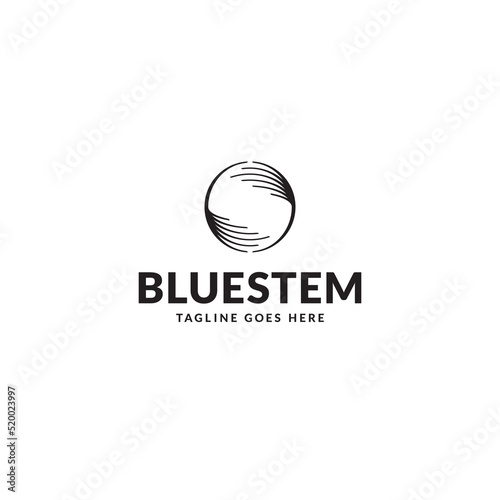 Bluestem logo or icon design photo
