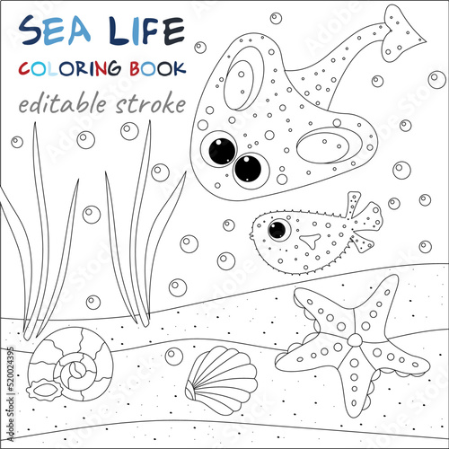 Cute puffer fish, stingray and starfish. Original coloring pages of the underwater world.