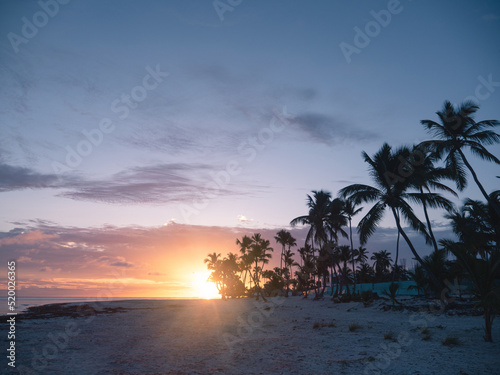 Tropical sunrise. Silhouette of coconut palm trees on the beach. Dominican Republic