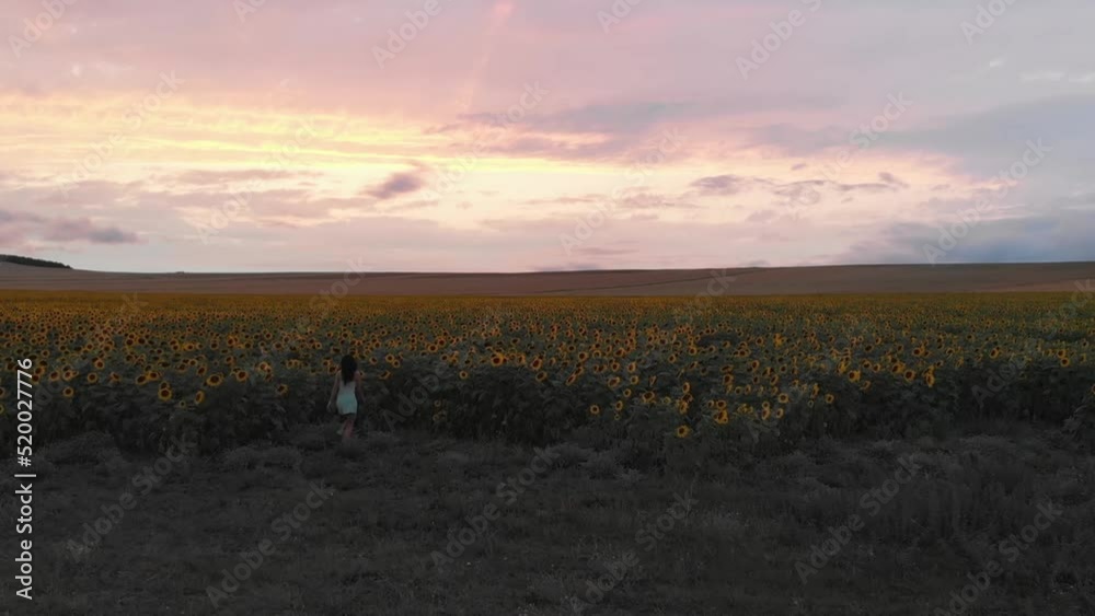 Aerial front view young caucasian woman excited run to sunflower field enjoy evening and carefree freedom. Lifestyle happiness concept Aerial front view young caucasian woman excited run to sunflower field enjoy evening and carefree freedom. Lifestyle happiness concept