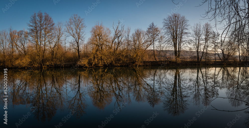 Reflection of trees at the river