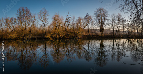 Reflection of trees at the river