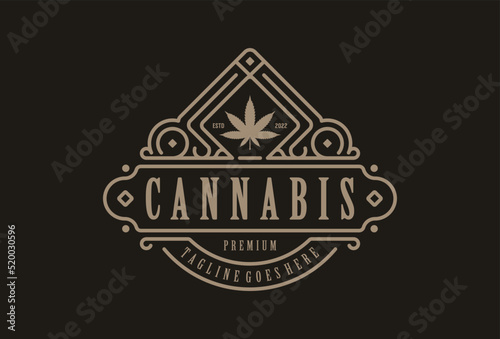 Vintage retro cbd cannabis marijuana hemp leaf farm cultivation logo design
