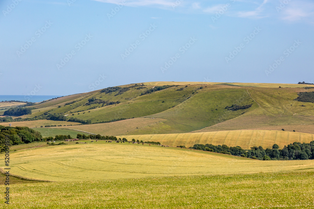 An Idyllic South Downs View on a Sunny Summers Day