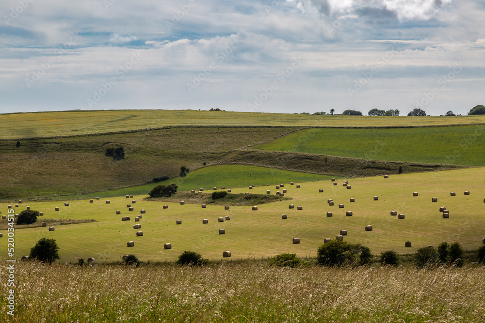 A South Downs View with Hay Bales in a Field