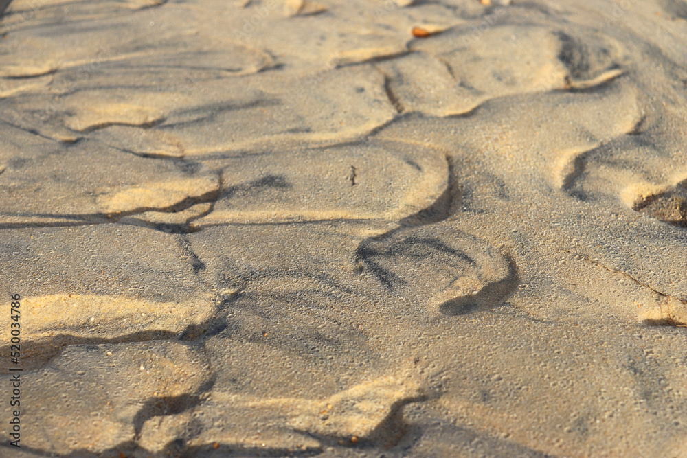 Fototapeta premium Wave-shaped sand is formed by the flow of river water