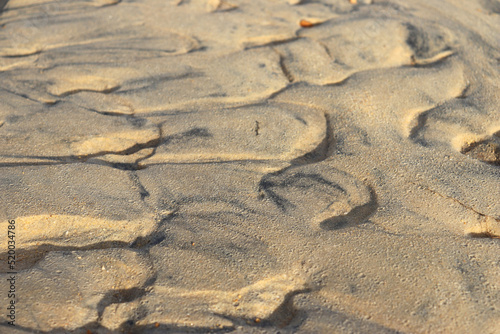 Wave-shaped sand is formed by the flow of river water