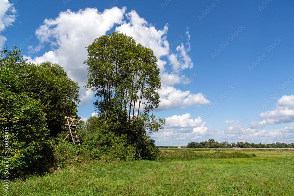 Piękne lato w Dolinie Narwi, Podlasie, Polska Piękne lato w Dolinie Narwi, Podlasie, Polska
