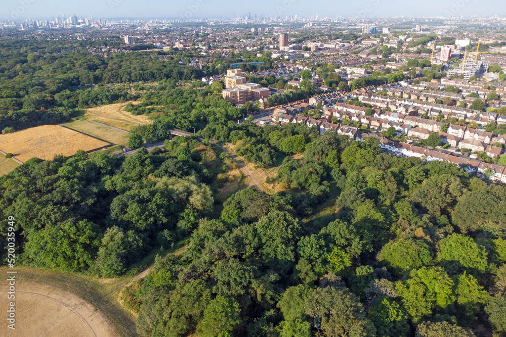 Obraz premium Aerial view overlooking the forest into the houses of Walthamstow into London
