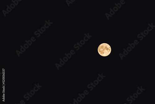 moon in the night