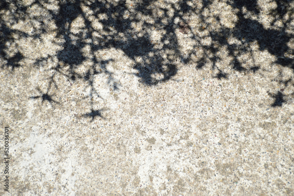 Flower shadows on a concrete background Flower shadows on a concrete background