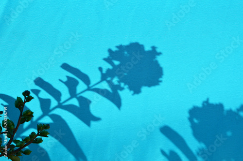 Fototapeta Naklejka Na Ścianę i Meble -  Leaf shadows on a blue fabric background