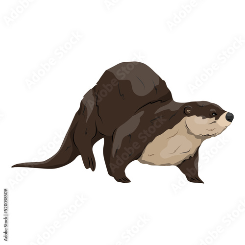 Eurasian otter Lutra lutra runs forward. The Eurasian river otter. Wild semiquatic mammal of Eurasia. realistic vector animal