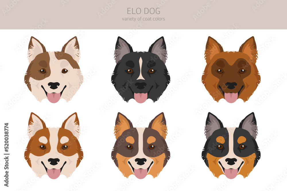 Elo dog clipart. Different coat colors set