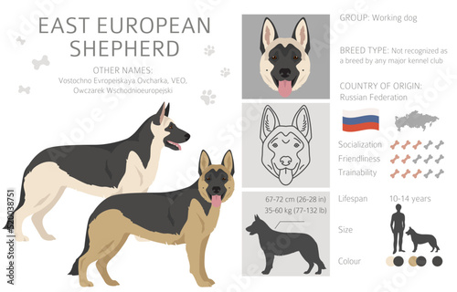 East european shepherd clipart. Different coat colors set