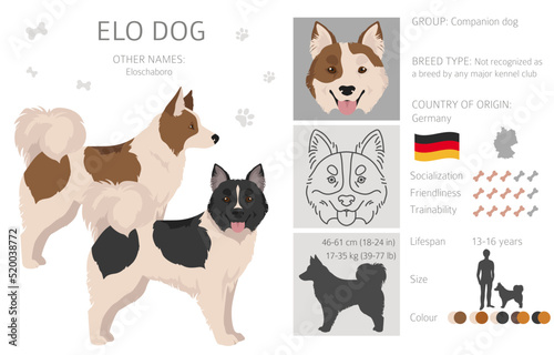 Elo dog clipart. Different coat colors set