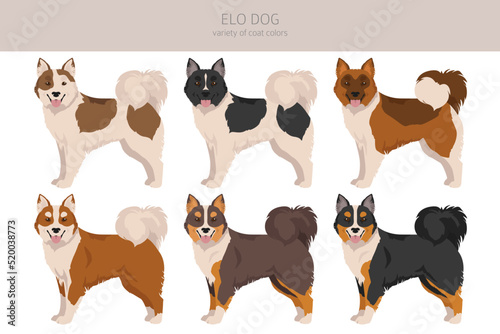 Elo dog clipart. Different coat colors set