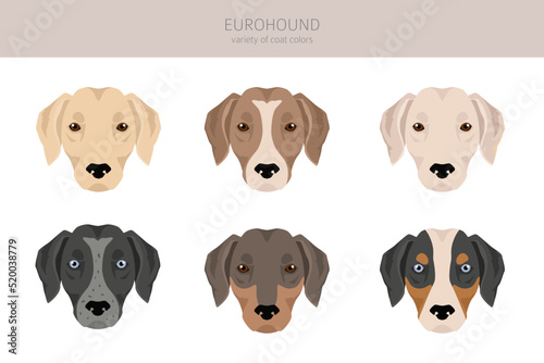 Eurohound clipart. Different coat colors set