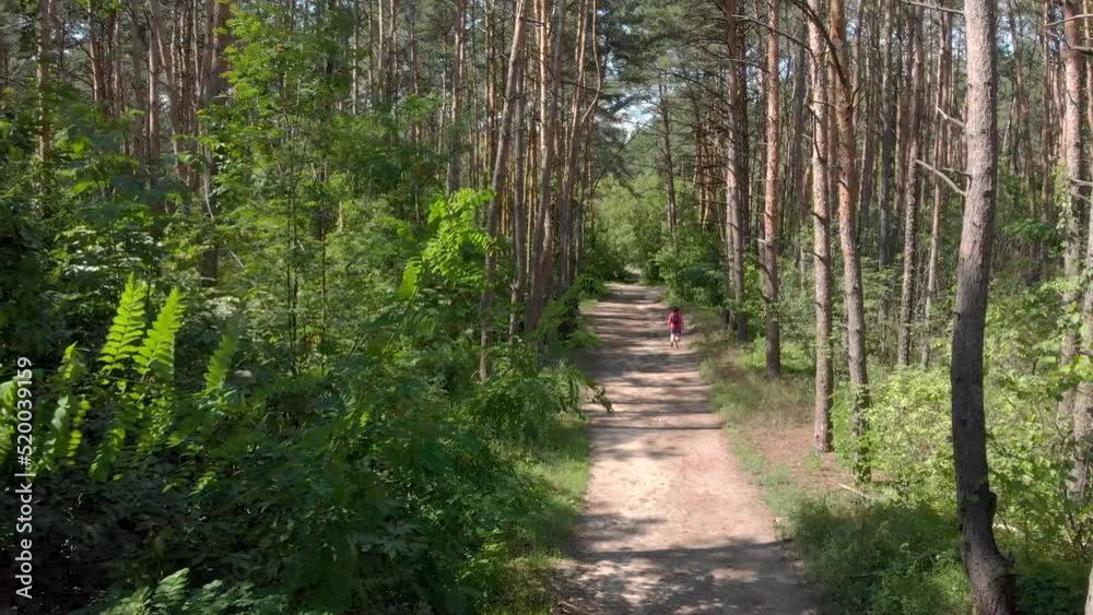 Forest Road. Tall trees. Pines. Summer. Lonely girl in a bright T-shirt. Forest park. Forest Road. Tall trees. Pines. Summer. Lonely girl in a bright T-shirt. Forest park.