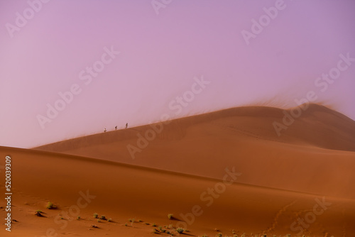 Namib Desert in Namibia, Africa