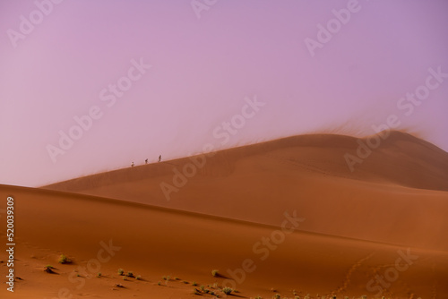 Namib Desert in Namibia  Africa